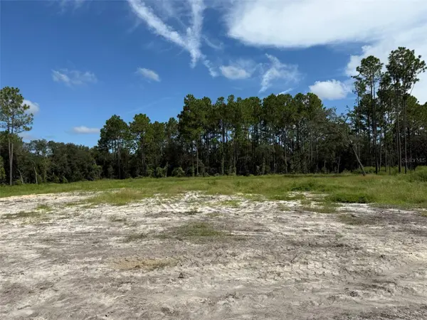 TBD SW 146TH LANE RD, Dunnellon, FL 34432