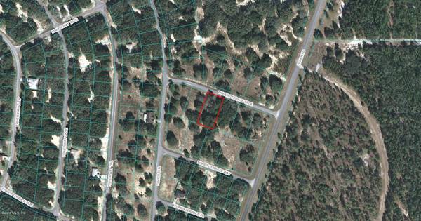 00 FISHER TERRACE TRCE, Ocklawaha, FL 32179