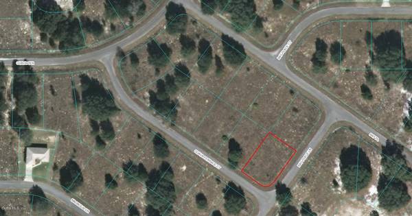 00 GUAVA TERRACE CT, Ocklawaha, FL 32179