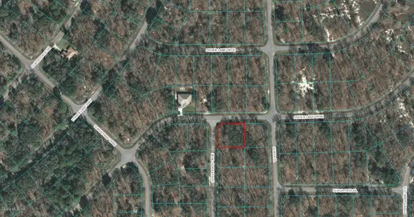 00 GUAVA PASS CRSE, Ocklawaha, FL 32179