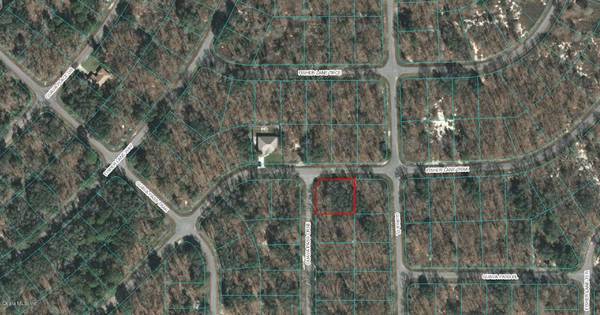 00 GUAVA PASS CRSE, Ocklawaha, FL 32179