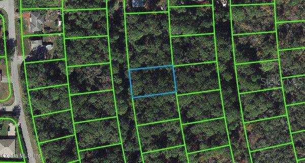 217 Harmony CT, Lake Placid, FL 33852