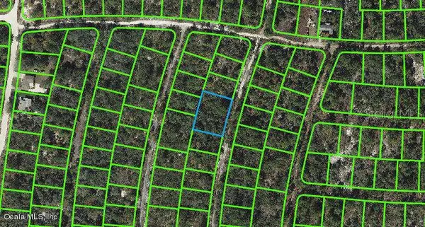 324 Imagination DR, Lake Placid, FL 33852