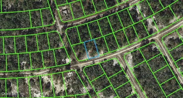 382 Hossler AVE, Lake Placid, FL 33852