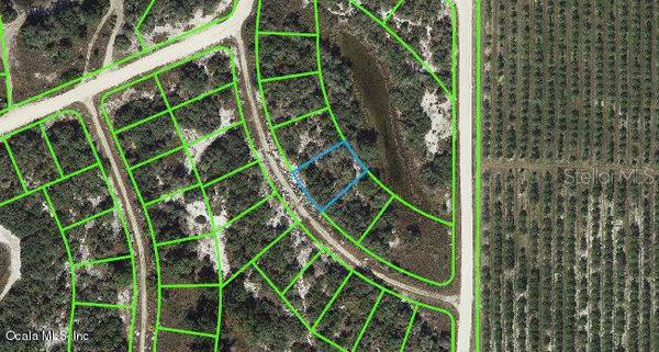121 Danby DR, Lake Placid, FL 33852