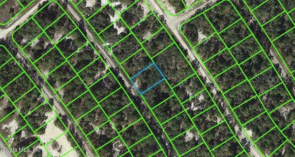 527 DREAMLAND DR, Lake Placid, FL 33852