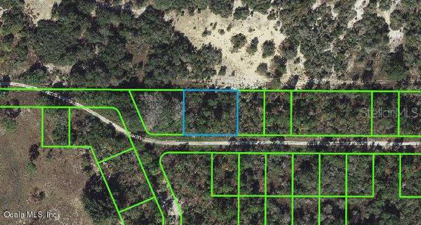 204 Rolling Hills DR, Lake Placid, FL 33852