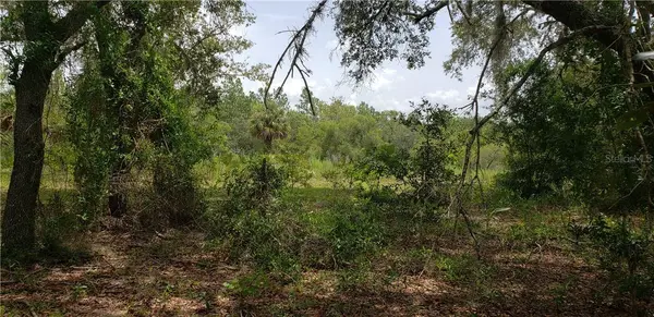 Lot 11 NE ALT HWY 27, Williston, FL 32696