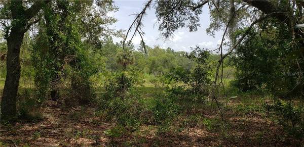 Lot 11 NE ALT HWY 27, Williston, FL 32696