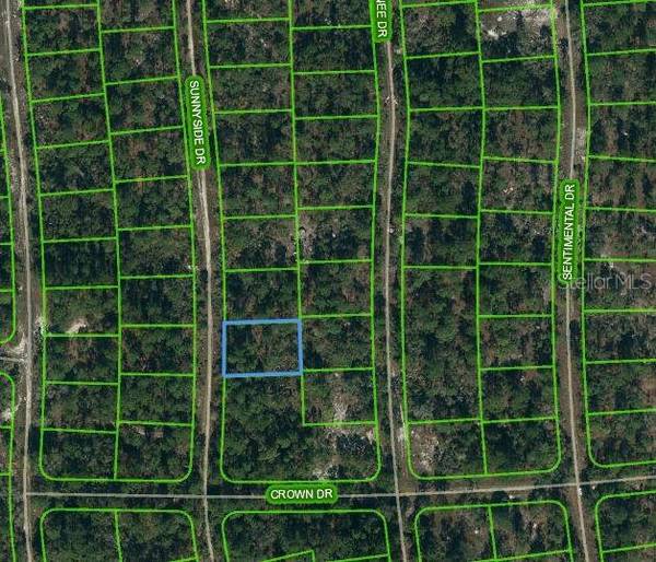 245 SUNNYSIDE DR, Lake Placid, FL 33852