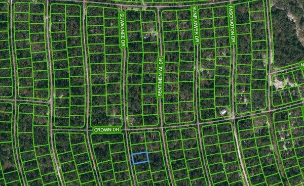 215 SUWANNEE DR, Lake Placid, FL 33852