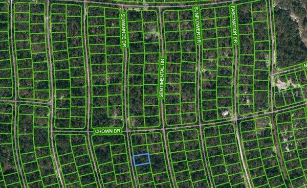 215 SUWANNEE DR, Lake Placid, FL 33852