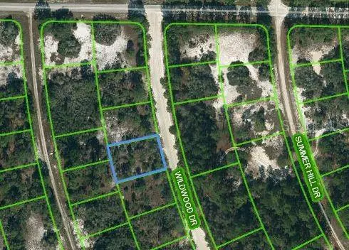 366 WILDWOOD DR, Lake Placid, FL 33852
