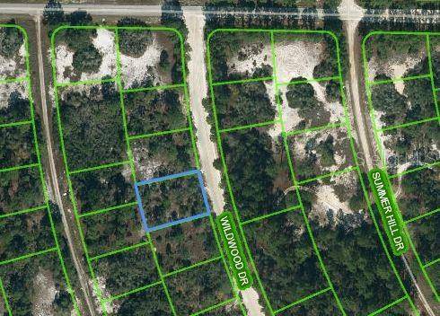 366 WILDWOOD DR, Lake Placid, FL 33852