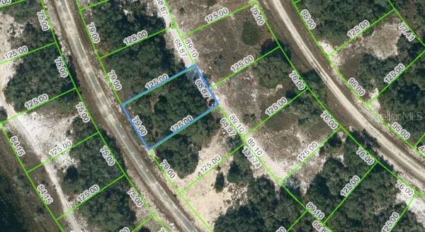 313 RHYTHM DR, Lake Placid, FL 33852