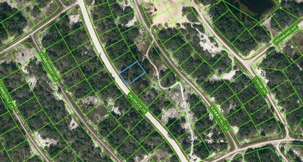 315 WILDWOOD DR, Lake Placid, FL 33852
