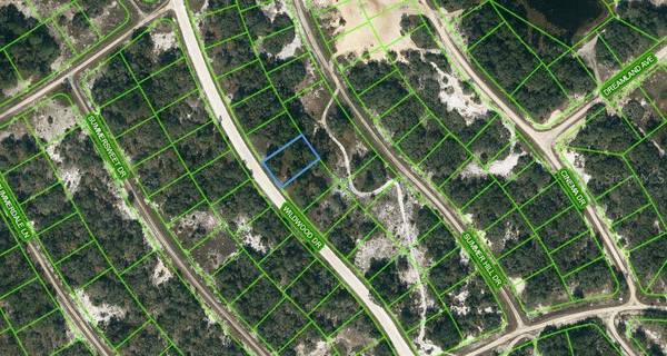 315 WILDWOOD DR, Lake Placid, FL 33852