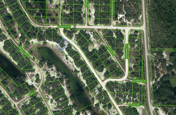 254 LAKELAND DR, Lake Placid, FL 33852