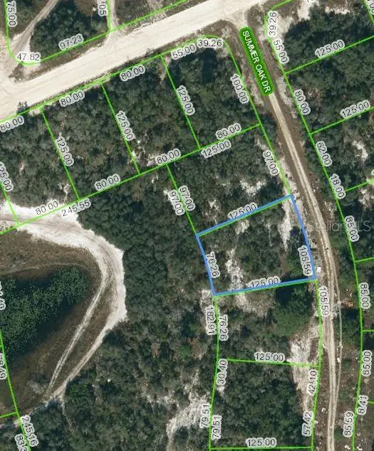 130 SUMMER OAK CT, Lake Placid, FL 33852