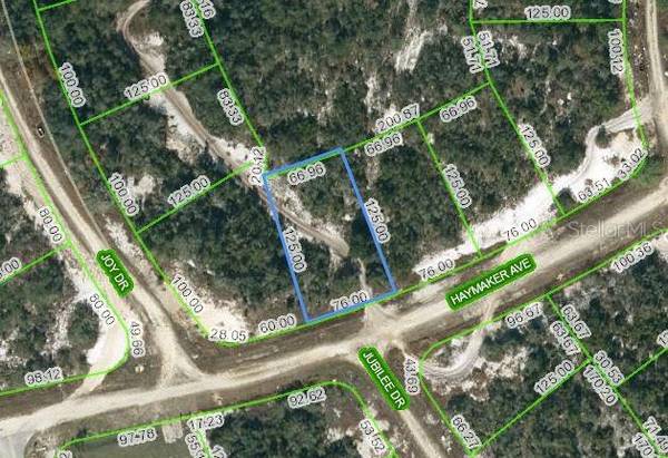 488 HAYMAKER AVE, Lake Placid, FL 33852