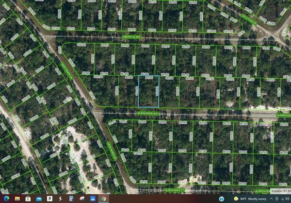 414 SURRENDER AVE, Lake Placid, FL 33852