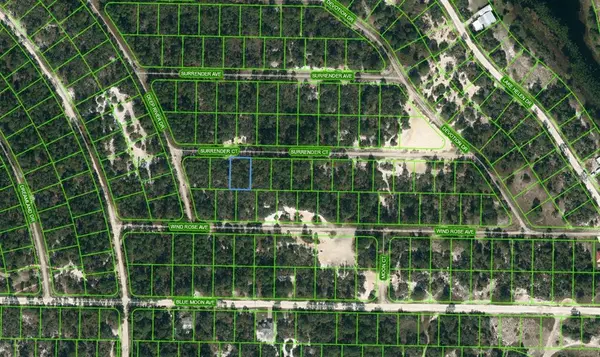 415 SURRENDER CT, Lake Placid, FL 33852