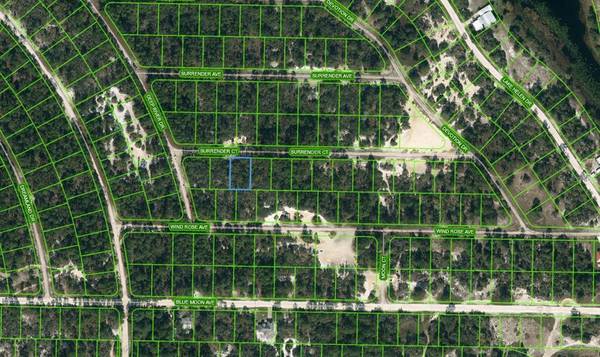 415 SURRENDER CT, Lake Placid, FL 33852