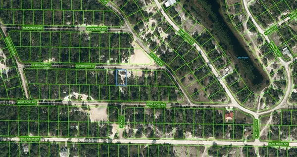429 SURRENDER CT, Lake Placid, FL 33852