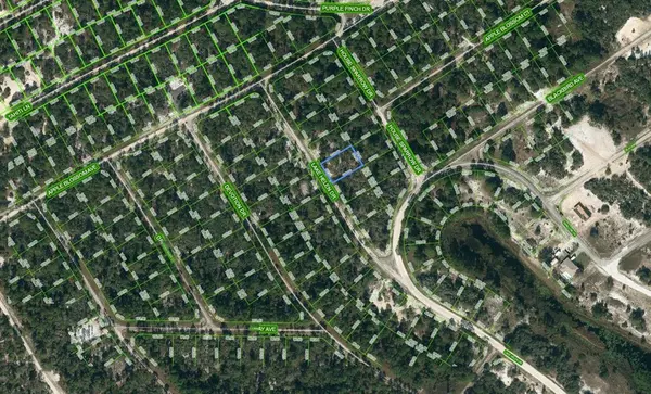519 LAKE HELEN DR, Lake Placid, FL 33852