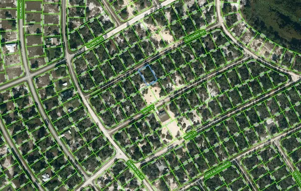411 ALLEGHENY AVE, Lake Placid, FL 33852