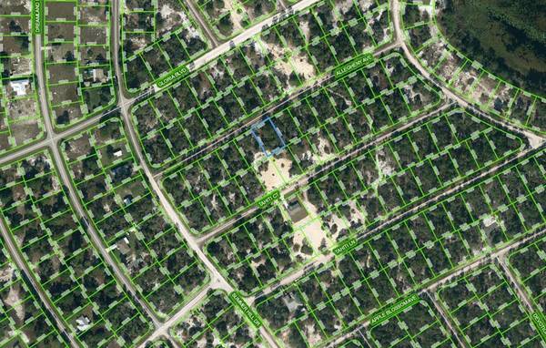 411 ALLEGHENY AVE, Lake Placid, FL 33852