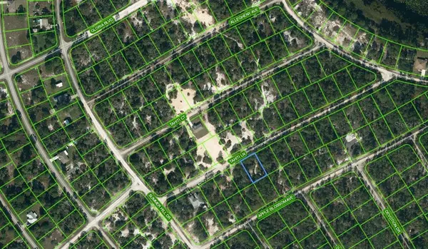 411 TAHITI LN, Lake Placid, FL 33852