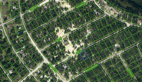 411 TAHITI LN, Lake Placid, FL 33852