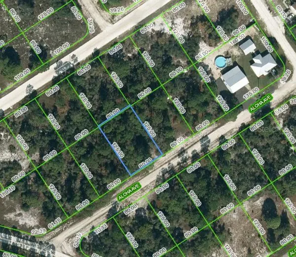 450 ALOHA AVE, Lake Placid, FL 33852