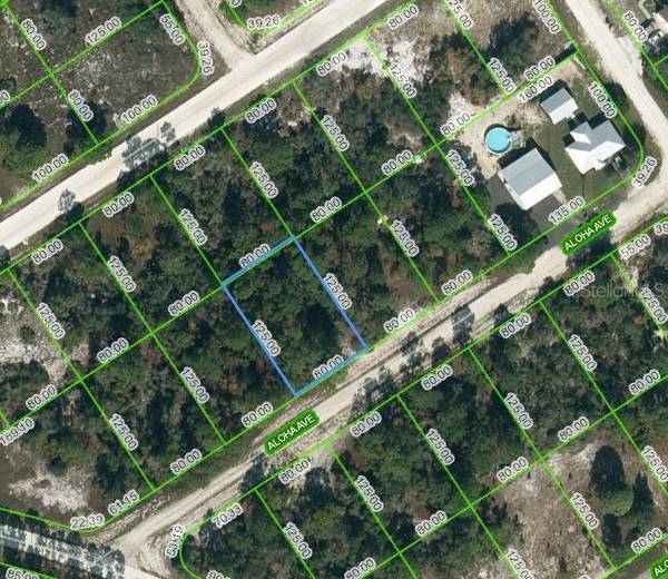 450 ALOHA AVE, Lake Placid, FL 33852