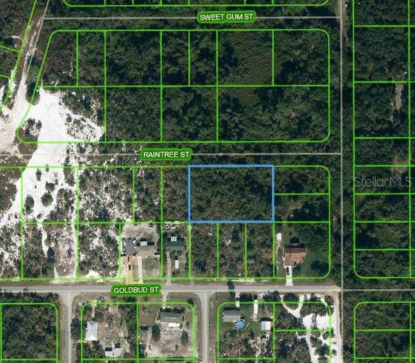 1515 RAINTREE ST, Lake Placid, FL 33852