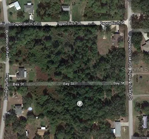 1511 BLACKWILLOW ST, Lake Placid, FL 33852