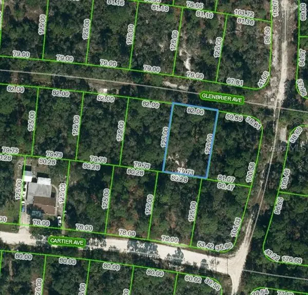 341 GLENBRIER AVE, Lake Placid, FL 33852