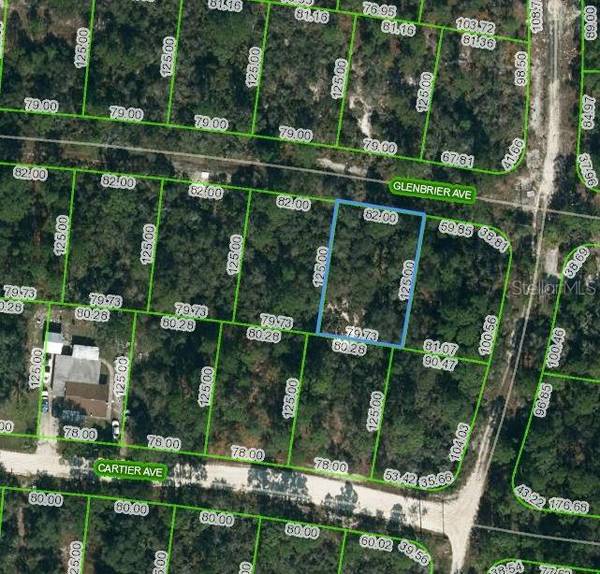 341 GLENBRIER AVE, Lake Placid, FL 33852