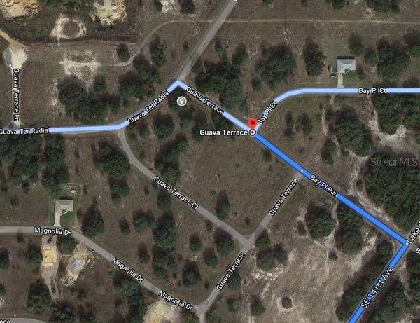 GUAVA TER, Ocklawaha, FL 32179