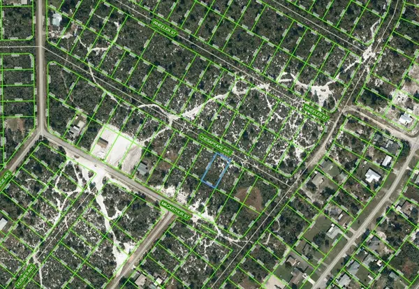 1043 CHESAPEAKE AVE, Lake Placid, FL 33852
