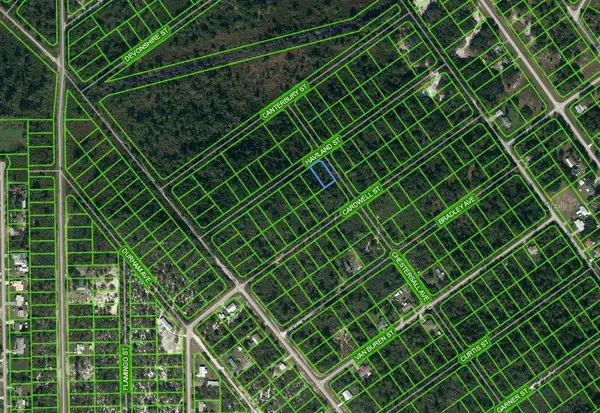 1213 CHESTERSALL AVE, Lake Placid, FL 33852