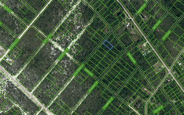 637 STRATHMOOR ST, Lake Placid, FL 33852