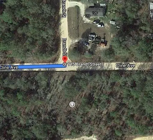 115 BRANCH AVE, Interlachen, FL 32148