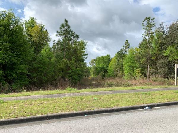 9440 SW 114TH ST, Ocala, FL 34481