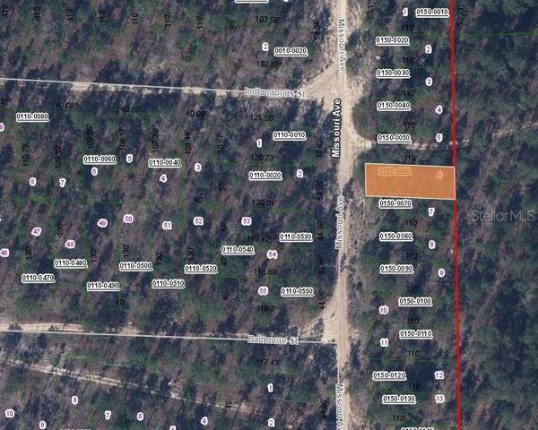156 MISSOURI AVE, Hawthorne, FL 32640