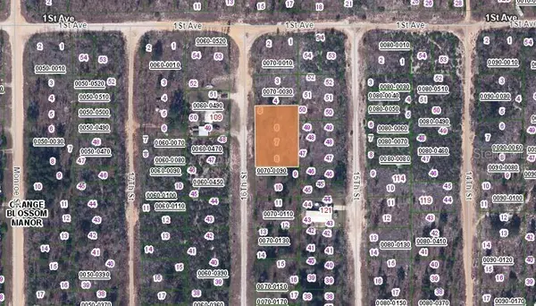 106 16TH ST, Interlachen, FL 32148