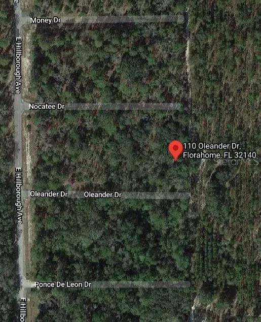 110 OLEANDER DR, Florahome, FL 32140