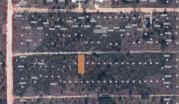 WILLOW ST ST, Interlachen, FL 32148
