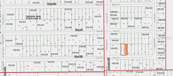 00 LIME ST, Interlachen, FL 32148